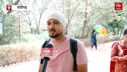 भीषण गर्मी से बेहाल चंडीगढ़ बर्ड पार्क के बेजुबान, कूलर,पंखे और मिस्ट फॉगिंग से दी जा रही राहत