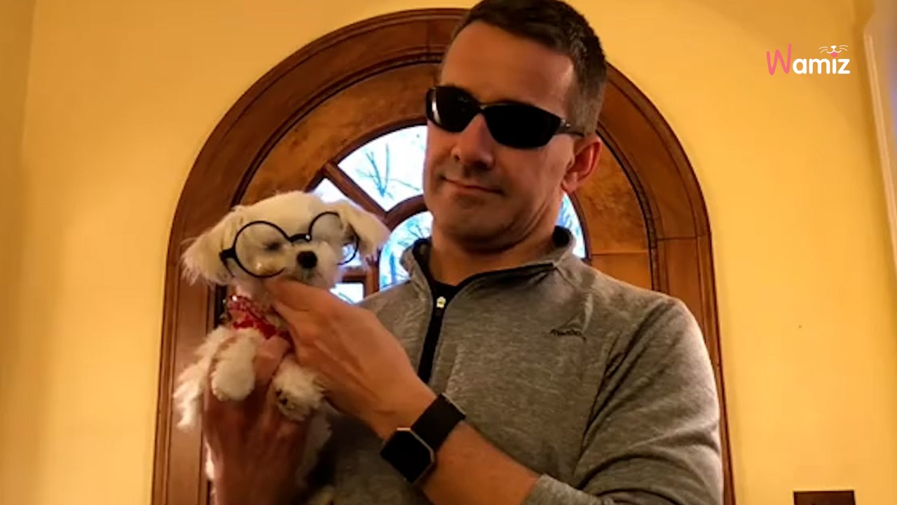 Kunden wollen ihren Welpen einschläfern lassen, weil er ihnen zu teuer ist: Der Tierarzt hat keine Zeit zum Nachdenken