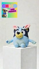 Nous y retrouvons Miss Ai et Miss Sun qui débutent leur première session.