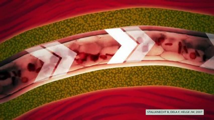 Targeting Belly Fat Is POSSIBLE! (New Study)