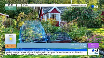 11/06/2025 - ici matin par ici Alsace en vidéo