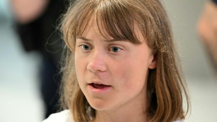 Greta Thunberg: "Wir wurden von Israel entführt"
