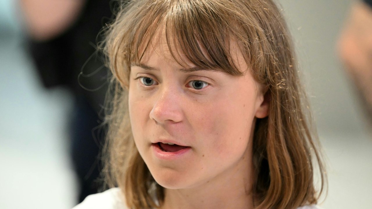 Greta Thunberg: 'Wir wurden von Israel entführt'