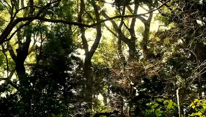 Attack on Titan - Counter Rockets S02 E02/03