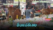 ไม่ต้องแวะหาหญ้าที่ไหนแล้ว แค่รออยู่หน้าแผงผักก็อิ่มแปล้