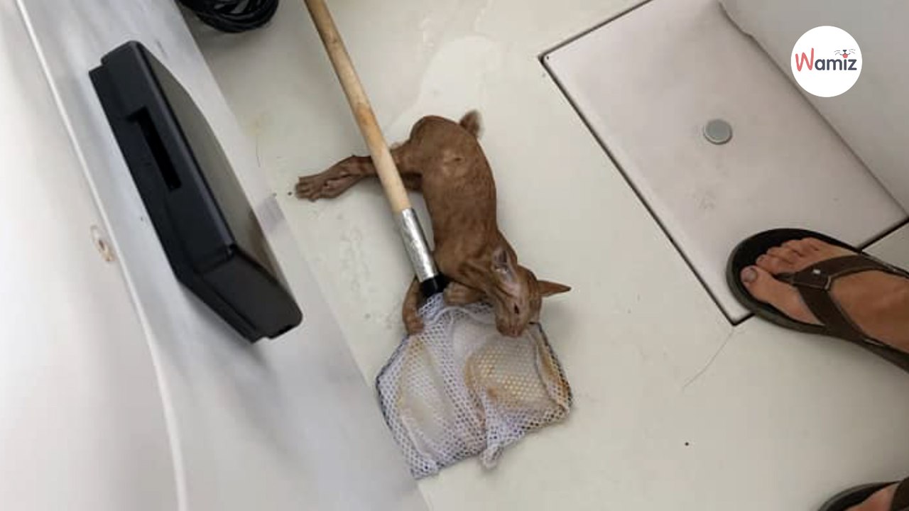 Fishermen spot something glistening and can't believe what they pull from the sea