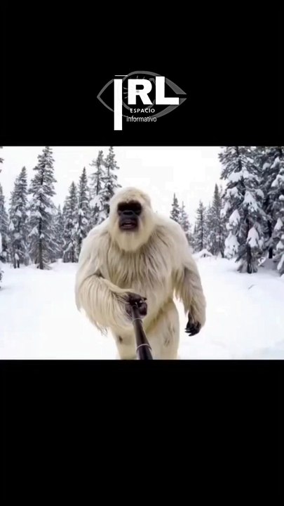 jajajjaj mira Francisco 😁