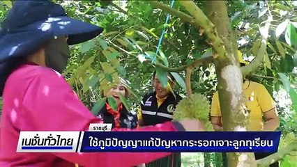 ใช้ภูมิปัญญาแก้ปัญหากระรอกเจาะลูกทุเรียน | เนชั่นทั่วไทย | 11 มิ.ย. 68 | PART 2