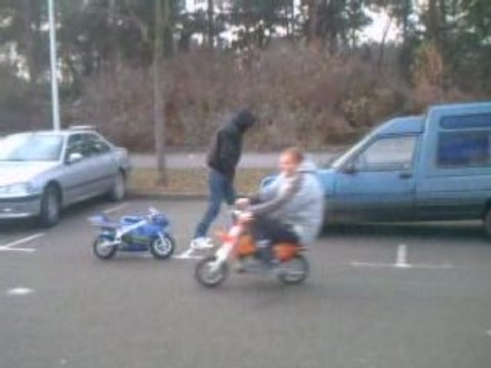 La petite gamel a toto