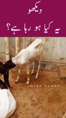 Ye KYA Horaha He?😲