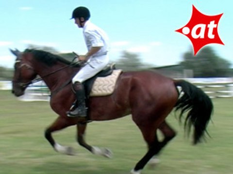 Laci Gombar, Springreiten, Burgenland (2007-053)