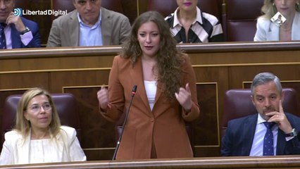 "Necesitan estar en el Gobierno para utilizar el Estado y defenderse de la corrupción"