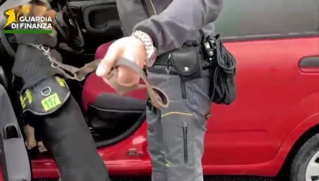 Traffico internazionale di cocaina su asse Sardegna-Olanda: 3 arresti e sequestri per oltre 3 milioni (11.06.25)