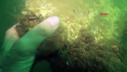 Sapanca Gölü'nün derinliklerinde yatan uçak 53 yıl sonra görüntülendi