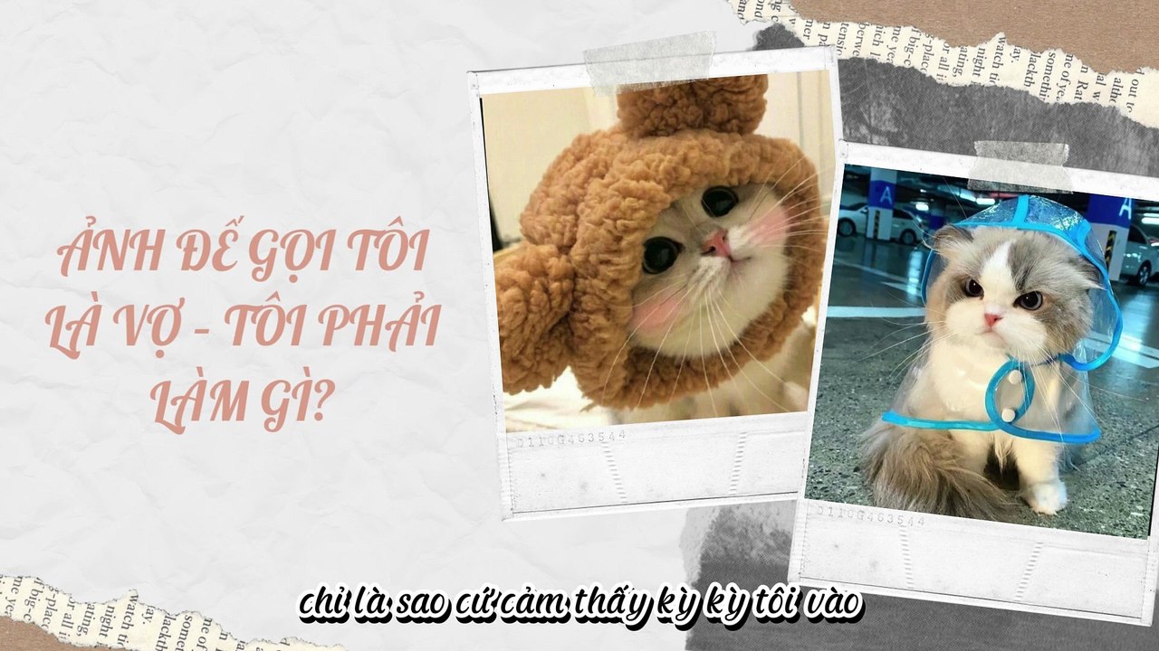 Truyện Audio Hay || Ảnh Đế Gọi Tôi Là Vợ – Tôi Phải Làm Gì? || Thiên Thần Dắt Truyện