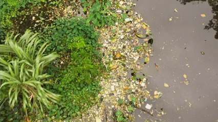 Realizarán operativo de limpieza en el lago de Los Andes