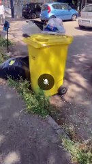 Quarto (NA) - Tolleranza zero contro “sacchetto selvaggio” e gli sversamenti abusivi  (11.06.25)