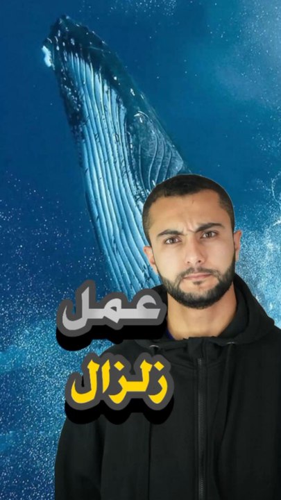 😨 زلزال سببه حيوان؟https://psce.pw/7q8sud#النواة #زلزال #حوت #حيوان#Alnawa #dubai🇦🇪 #dubailife #earthquake #Whale #animal #trending #travel #nature #wildlife