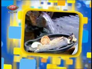 10 Manisa Demirci Seyran