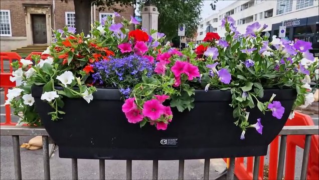 See the new floral displays that are welcoming people to Worthing in June 2025