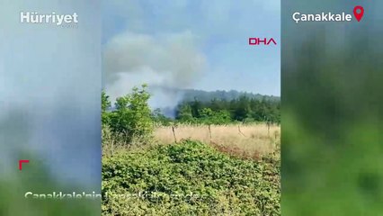 Çanakkale’nin Lapseki ilçesinde ormanlık alanda yangın