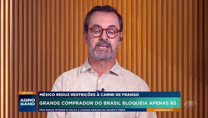 Gripe aviária: México reduz restrições à carne de frango do Brasil
