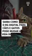 Saiba como o RG digital para cães e gatos pode mudar a vida dos pets