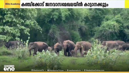 പാലക്കാട്‌ കഞ്ചിക്കോട് ജനവാസമേഖലയിൽ കാട്ടാനക്കൂട്ടമിറങ്ങി