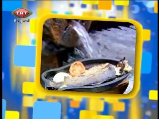 14 Aydın Nazilli Seyran