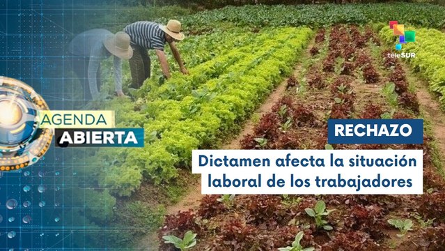 Organizaciones agrarias rechazan el dictamen del Congreso de Perú