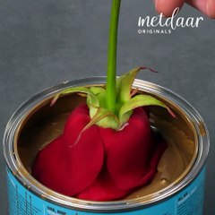 Tips to revolutionize your day-to-day activities