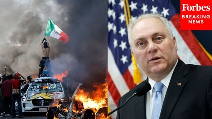 Steve Scalise Condemns LA Protests, Raises Alarms About 'Foreign Flag' Being Waved In The City