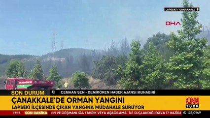 Son Dakika Haberi: Çanakkale'de orman yangını