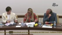 Roma - Audizione informali in Commissioni riunite 3a e Diritti umani (11.06.25)