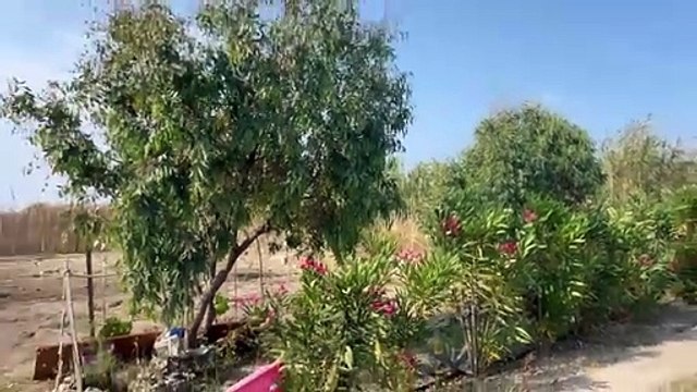 Tragedia sulla spiaggia di Pace del Mela: un anziano trovato morto da un bagnante a Giammoro