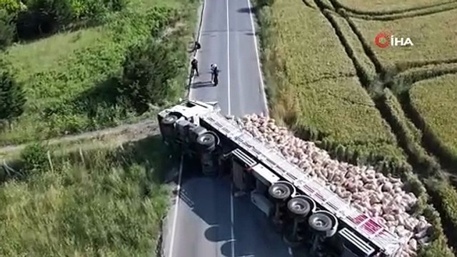 Patates yüklü tır düz yolda devrildi, tonlarca patates tarlaya döküldü