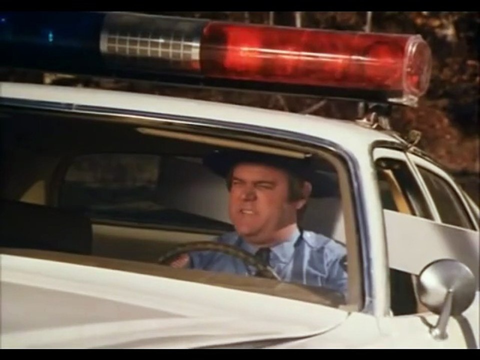 Ein Duke kommt selten allein S03E15-Ein Daddy für Bo