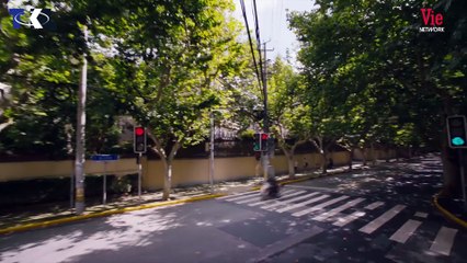 Vị Giác Tình Yêu - Tập 9 Phim Chuyển Thể Ngôn Tình  Phim Đầu Bếp Ẩm Thực 2022