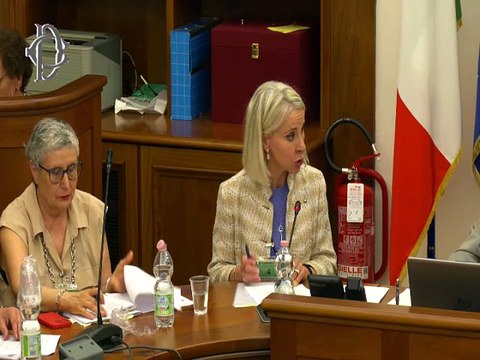 Roma - Medicinali critici - Audizioni - Farmindustria, Egualia, Sandoz, Agenzia italiana del farmaco (AIFA), Federfarma, Federchimica-Aschimfarma - COM(2025) 102 final (11.06.25)