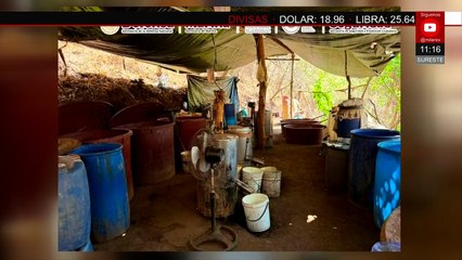 Operativo revela laboratorio y pista ilegal en zona de Durango