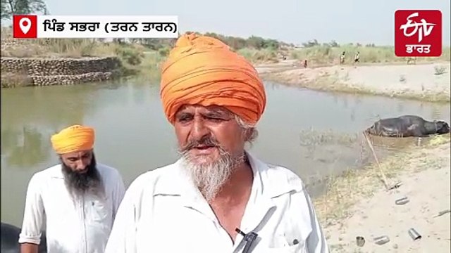 6 ਮੱਝਾਂ ਦੀ ਜ਼ਹਿਰੀਲਾ ਚਾਰਾ ਖਾਣ ਨਾਲ ਹੋਈ ਮੌਤ, ਪੀੜਤਾਂ ਨੇ ਮਦਦ ਦੀ ਲਾਈ ਗੁਹਾਰ