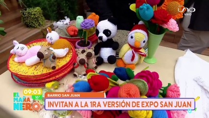 LLEGA LA 1ERA EXPO SAN JUAN