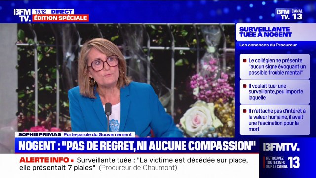 Interdire les réseaux sociaux aux moins de 15 ans: Si on n'arrive pas à convaincre l'ensemble de l'Europe, on avancera tout seul dans les mois qui viennent , assure Sophie Primas, porte-parole du gouvernement