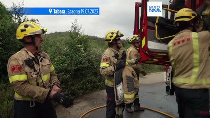 La Corte dei conti europea segnala inefficienze nella spesa dell'Ue per gli incendi boschivi