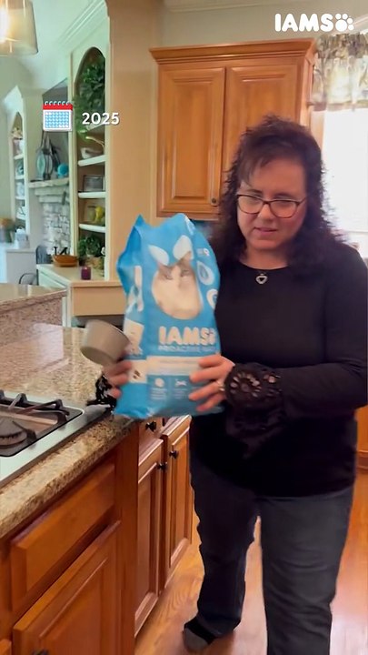 🏋️‍♂️ 19-Pound Cat Starts Hilarious Weight Loss Journey 🐱💪🍗