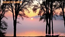 Disrot Dawn