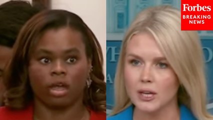 ‘What A Stupid Question’: Karoline Leavitt Rebuffs Reporter For Question On Protests During Military Parade