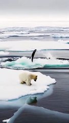 snapsave-app_24402013452734491_hd