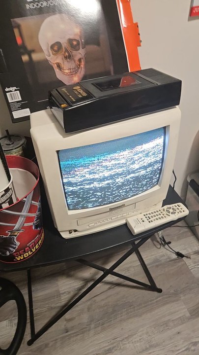 opening to Zebrahead