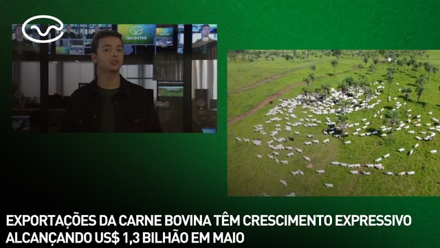 Exportações de carne bovina tem crescimento expressivo alcançando US$ 1,3 bilhão em maio